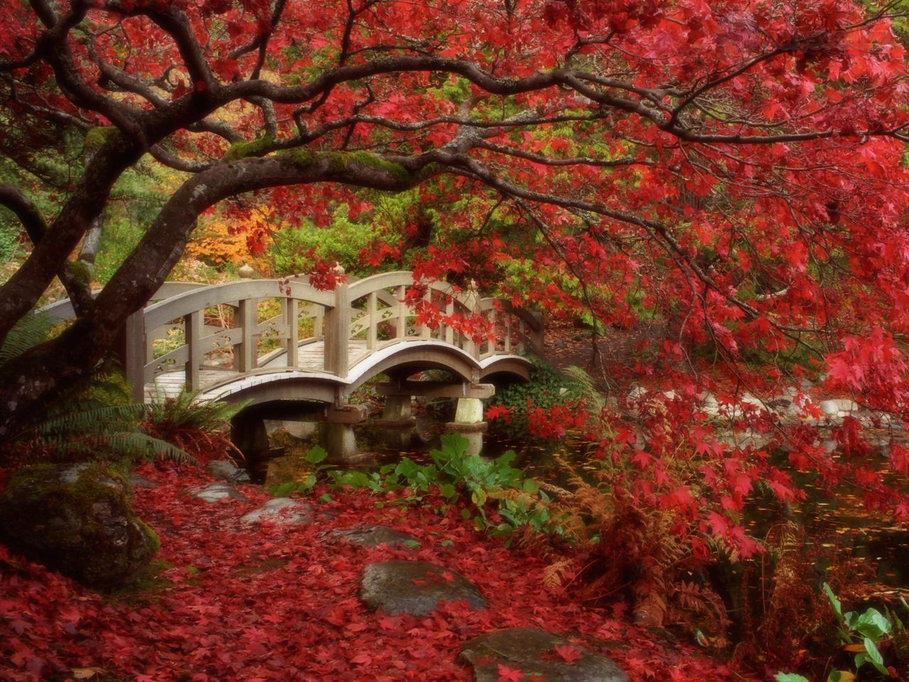 Foto: Japanese Garden, Royal Roads University, British Columbia